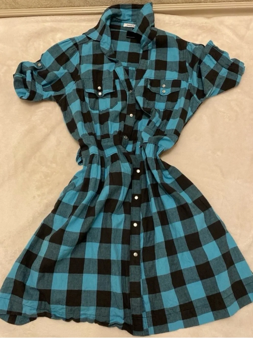 Cotton Express Blue and Black Gingham Dress